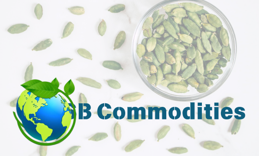 Forgot Password Page Image