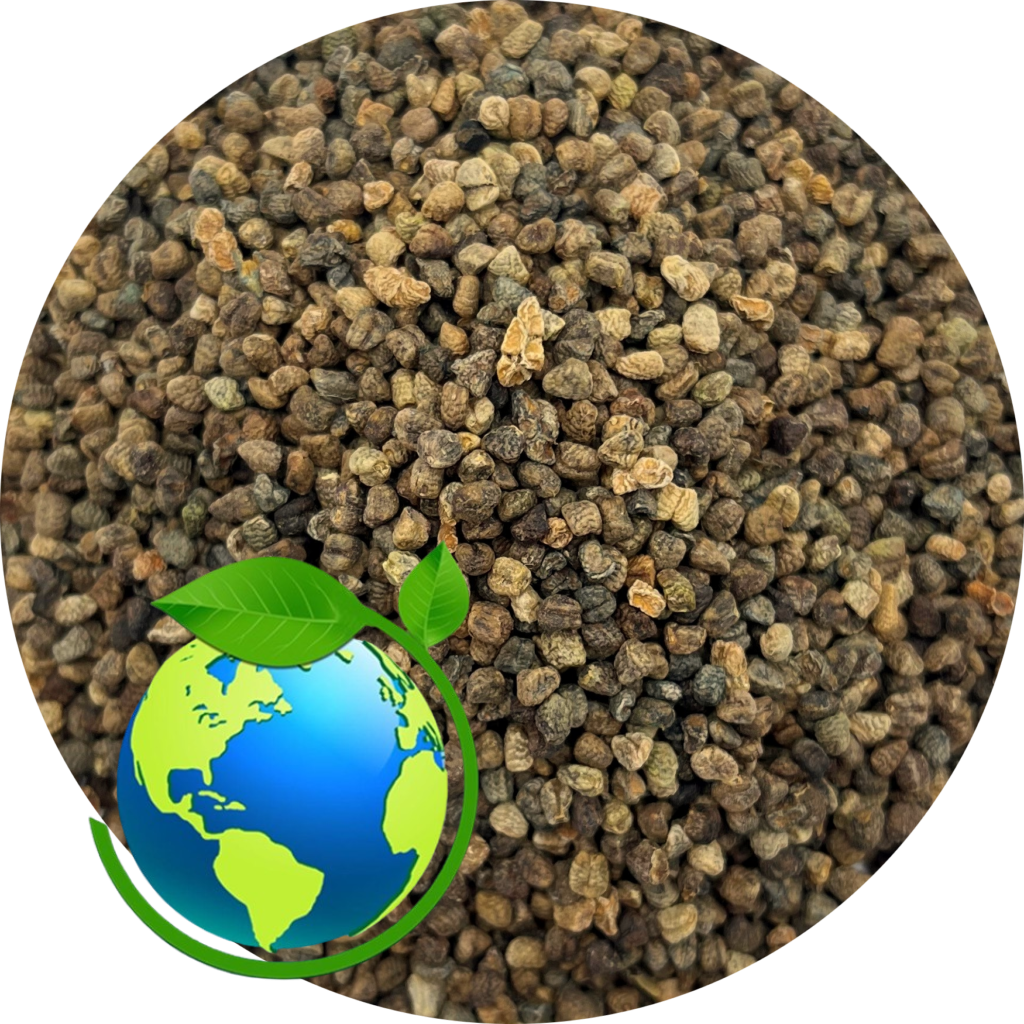 Cardamom seed